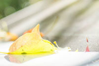 重饮食和休 重饮食和休